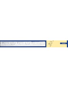 BILDERRAHMEN VON DER WAND FÜR INNEN GIPS-KERAMIK LACKIERBAR ART. 225 STANGE VON 1,5 M 2