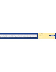 BILDERRAHMEN VON DER WAND FÜR INNEN GIPS-KERAMIK LACKIERBAR ART.238 STANGE VON 1,5 M 2